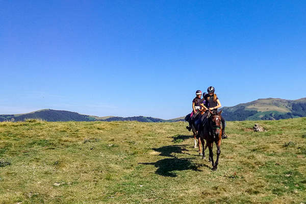 Cheval et jeune en Auvergne