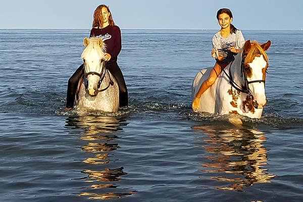 L'Irlande à cheval entre jeunes