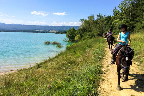 Stage équestre pour les jeunes dans les Pyrénées