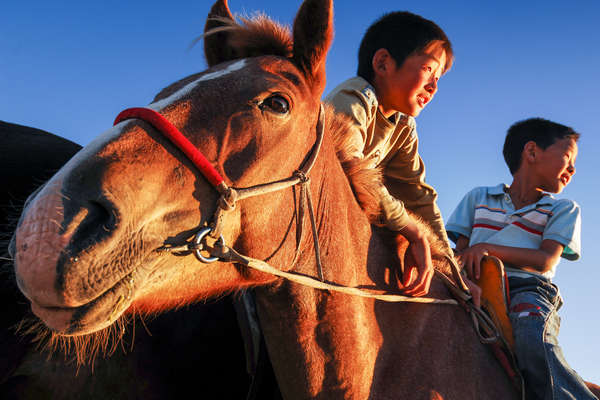 Jeunes cavaliers et leurs chevaux en Mongolie