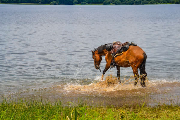 Jeux d'eau