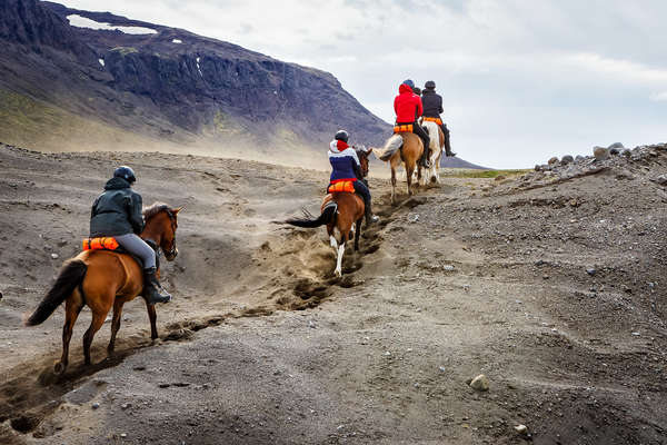 Kjolur à cheval