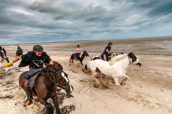 La baie du Mont St Michel à cheval