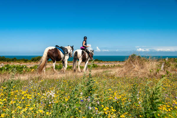 La Bretagne à cheval