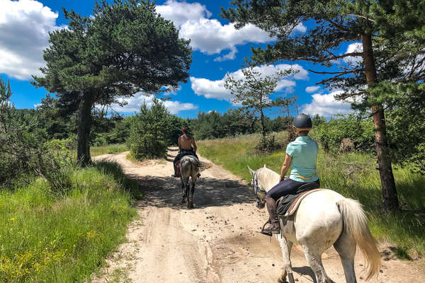 La Bulgarie à cheval