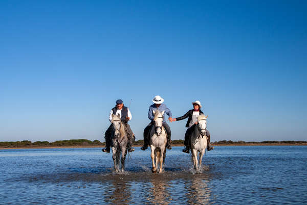 La Camargue à cheval