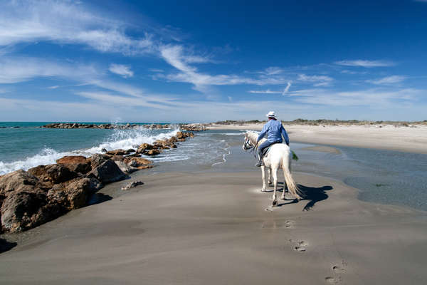 La Camargue à cheval