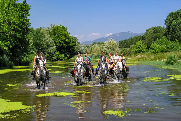 La Catalogne à cheval