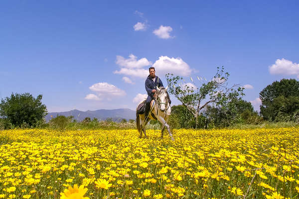 La Catalogne à cheval au printemps