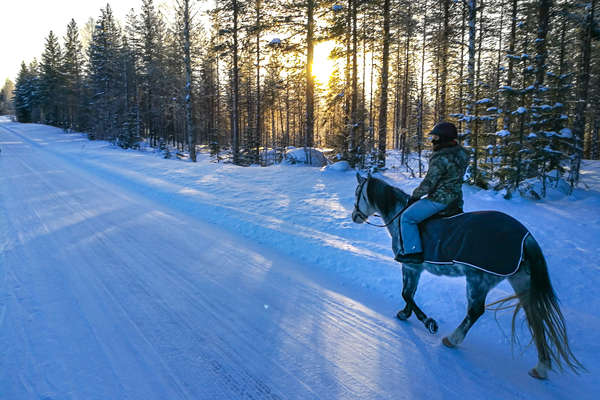 La Laponie à cheval