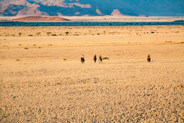 La Namibie à cheval