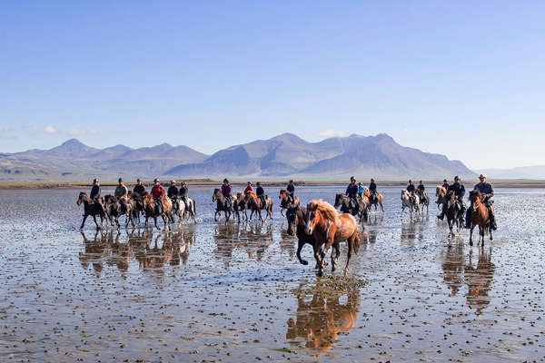 La péninsule de Snaefellsness à cheval