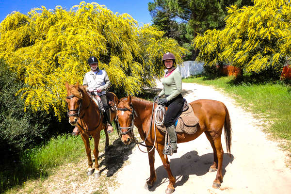 La Sardaigne à cheval