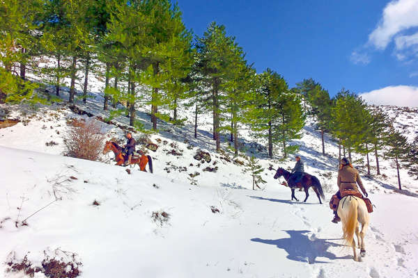 La Sicile à cheval en hiver