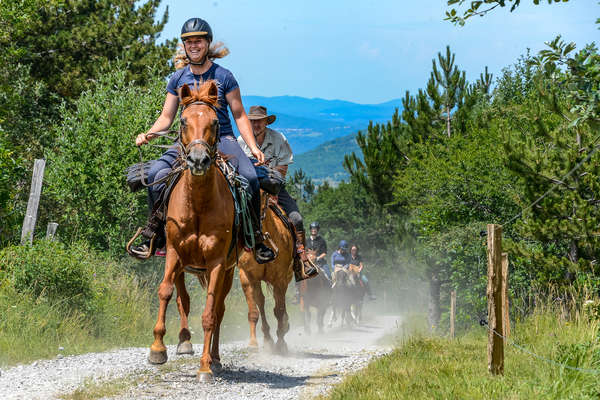 La Slovénie à cheval