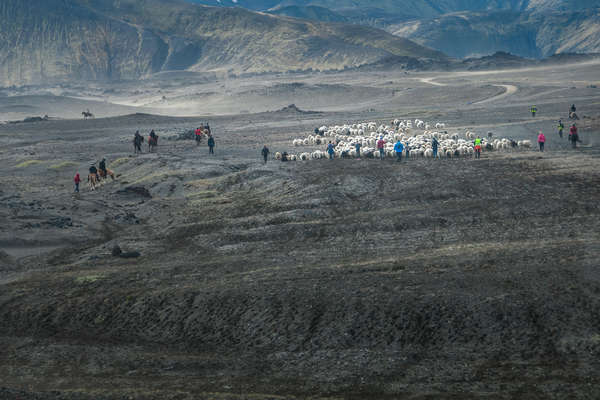 La vallée d'Hekla à cheval