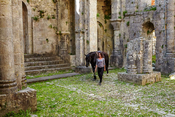 La Via Podiensis à cheval