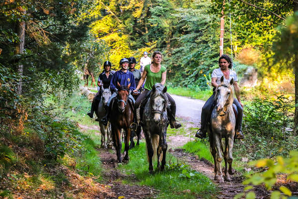 L'Alsace à cheval