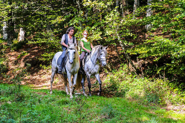 L'Alsace à cheval