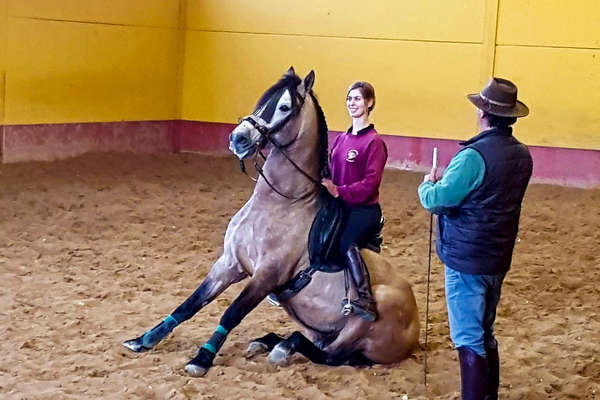 L'Andalousie à cheval