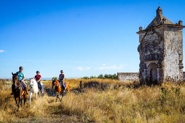 L'Andalousie à cheval