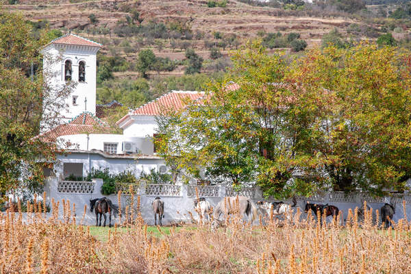 L'Andalousie à cheval