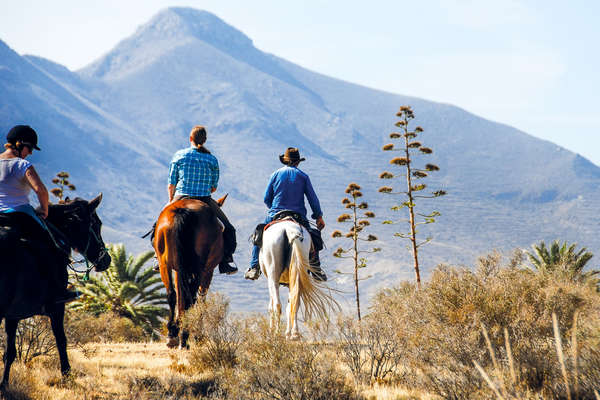 L'Andalousie à cheval