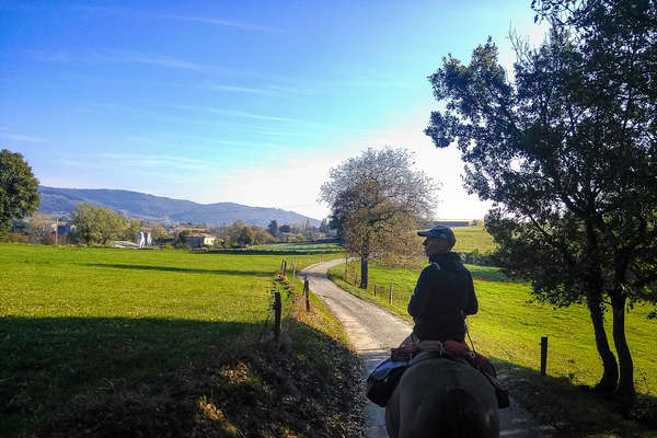 L'Ardèche à cheval