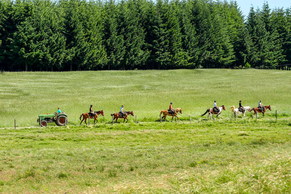 Randonnée à cheval pour enfant et adolescent en Ardèche