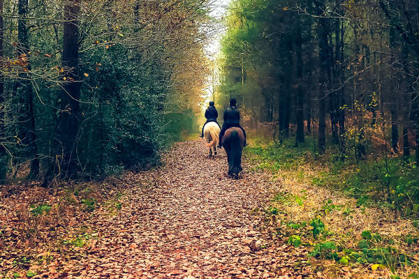 L'Ardèche à cheval pour les juniors