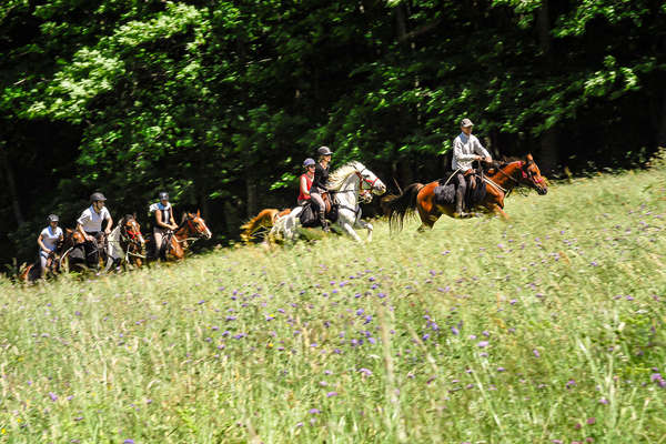 L'Ardèche au galop