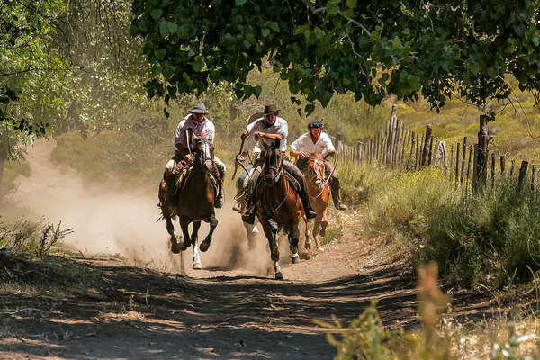 L'Argentine à cheval