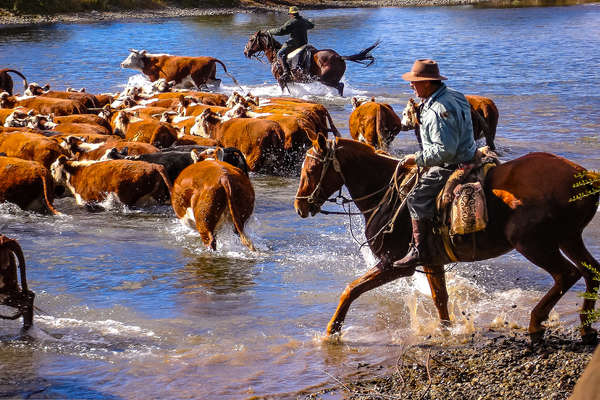 L'Argentine à cheval