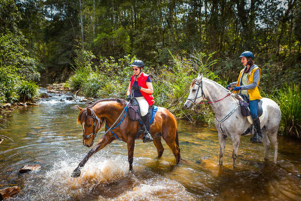 L'Australie à cheval