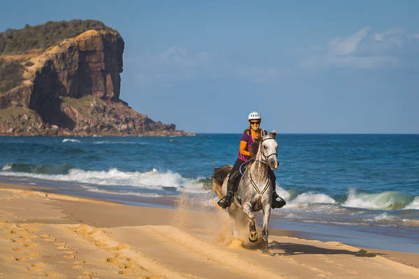 L'Australie à cheval