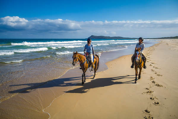 L'Australie à cheval