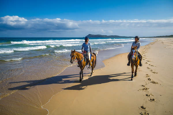 L'Australie à cheval