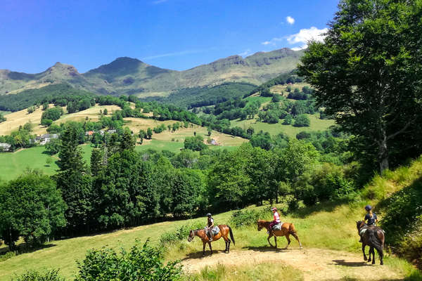 L'Auvergne à cheval