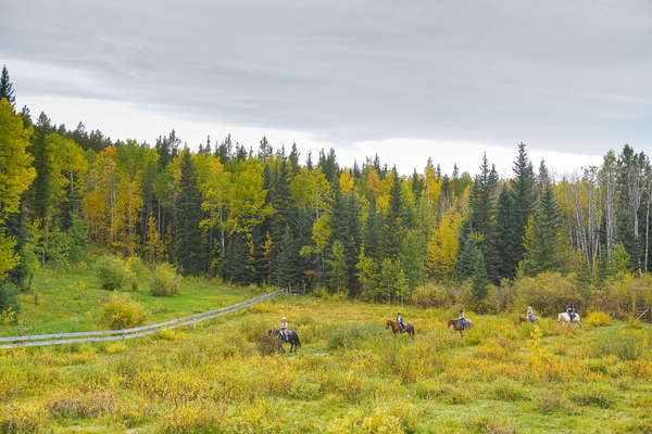 Le Canada à cheval