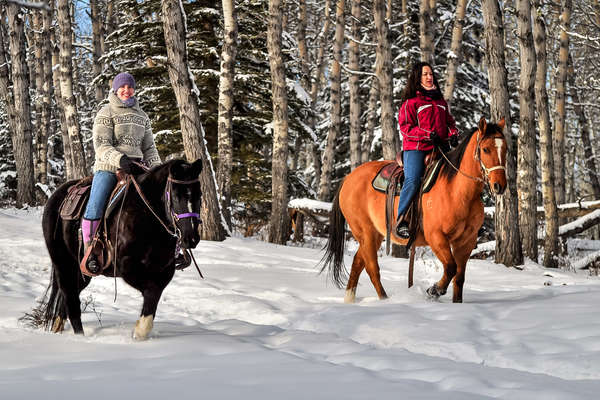 Le Canada à cheval en hiver