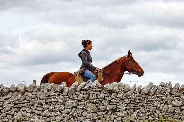 Le Chemin de Compostelle à cheval