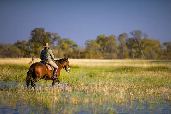 Le delta de l'Okavango à cheval