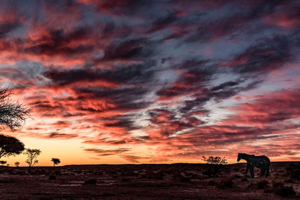 Le désert marocain à cheval