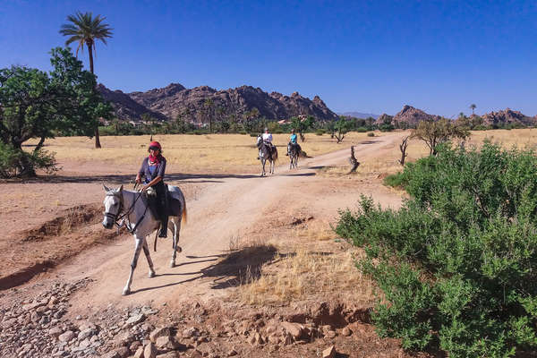 Le Grand Sud marocain à cheval