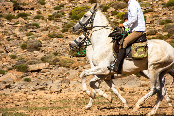 Le Haut Atlas au Maroc au galop