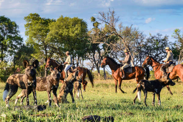 Le Hwange à cheval