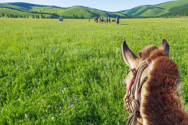 Le Khentii à cheval en Mongolie