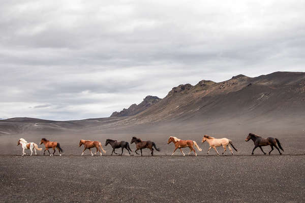 Le Landmannalaugar à cheval