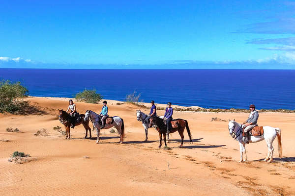 Le long de l'Atlantique à cheval au Maroc