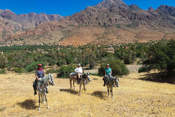 Le Maroc à cheval